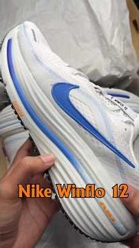 Nike Winflo 12 shoes review