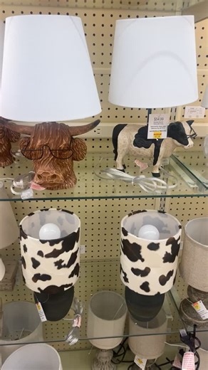 Lámparas adorables en Hobby Lobby para el estilo western