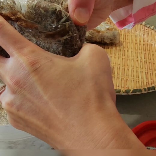 Begini Saya Masak Dari Bahan Frozen. Part 4 | Rosidah Dobson's Kitchen.