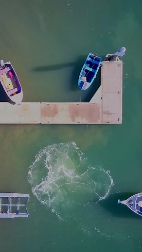 Enjoy safe, worry-free days on the water with Yamaha Insurance. ✅ 3 yrs replacement on new Yamaha boats ✅ Lifetime guarantee on authorised repairs ✅ Personal effects & gear coverage up to $3,000 ✅ Emergency towing & flexible seasonal discounts ✅ Peace of mind for serious riders & enthusiasts Keep your Yamaha, your gear, and your adventure fully covered. Get a quote today! Insurance is issued by HDI Global Specialty SE - Australian Branch ABN 58 129 395 544, AFSL No. 458776 acting through its age