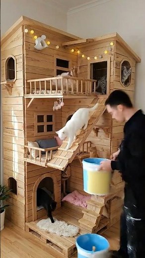 Luxury Cat House Build 🏠🐱