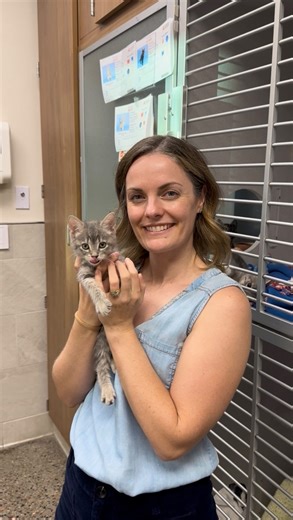 4.3K views · 85 reactions | Ringworm? No problem.  Our Foster Hero, Devin, proves that with a little care and a lot of love, you can help a pet heal and prepare them for their forever homes. Don’t let the stigma stop you! Our foster team is here to support you with guidance and supplies to give these pets the care (and love) they deserve. 李  You can be a hero too! Sign up to foster today at www.azhumane.org/foster  | Arizona Humane Society | Facebook