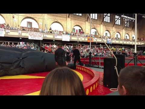Circus performer shot out of cannon