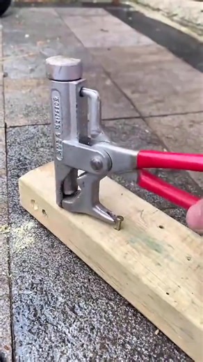  The Hammer Marvel – Where Versatility Meets Forged Strength! ⚡ 10-in-1 Hammer Multitool – Forged steel construction with 8 integrated tools and non-slip grip. The ultimate all-in-one repair solution for DIY projects, emergency fixes, and outdoor adventures. #MultitoolHammer #10in1Tool #DIYEssentials #EmergencyRepair #ForgedSteel #CompactTool #HomeMaintenance #OutdoorGear | Oarhwover | Facebook