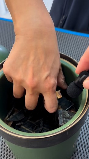 ✨🐾 ASMR Vet Med Edition 🩺✨ Welcome to the sounds of a busy vet clinic — the bustling, the clattering, the chatter, the chaos, and of course the care. It’s the symphony of vet med, and honestly… it’s kind of iconic. What is ASMR? ASMR (Autonomous Sensory Meridian Response) is a relaxing, tingling sensation some people experience in response to certain sounds or visuals. Many people enjoy ASMR to unwind, de-stress, or fall asleep. | AdelaideVet