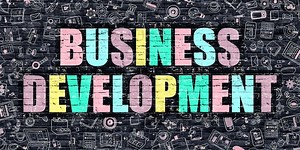 Comment bien choisir sa formation en business development ?