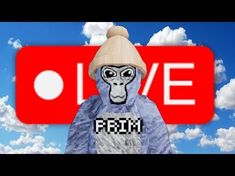 🔴PLAYING GTAG WITH YOU!🔴CODES AND MINIGAMES🔴