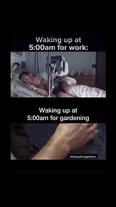 7.2K views · 63 reactions | Shop 200+ organic, open-pollinated seed varieties grown in the North and regionally adapted for colder climates with shorter growing seasons in my seed shop ➡️ www.thesuperiorgardener.ca #gardening #gardener #marriedlife #gardenlife #growyourown | The Superior Gardener | Facebook