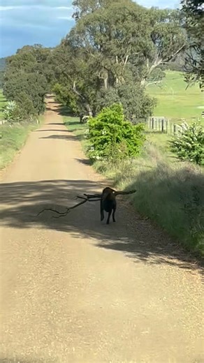 Site Supervisor Ned enjoys when traffic is light on the roads on a Friday. #dashcam | L O'Grady Constructions