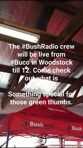 The #BushRadio crew will be live from #Buco in Woodstock till 12. Come check out what is happening. Something special for those green thumbs. | Bush Radio 89.5 FM