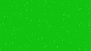 Download Green Screen rain falling effect and splash, Rain animation 4K Resolution for free