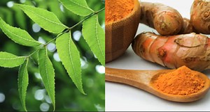 The Power of Neem and Turmeric - InnerEngineering.com