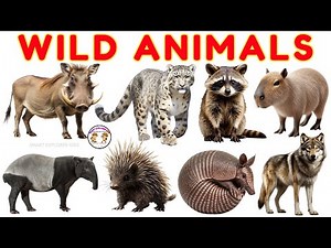 30 Wild Animals for Kids 🦁 | Jungle Safari | Learn Wild Animal Names with Sounds | Animals for Kids