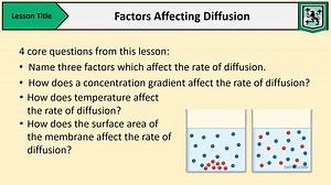 Cell Division and Transport- Lesson 7- Factors Affecting Diffusion