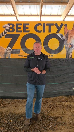 Homeschooling Appreciation!! Join Bee City February 26th and 27th where entry tickets are only $7! The $7 tickets are for all homeschool children and parents or guardian that does the daily instruction for the children. We ask that you provide some source of proof of enrollment into a homeschool program. Homeschooling appreciation is celebrated to honor the immense dedication of parents, recognize the flexibility and customization of education, and celebrate the strengthening of family bonds. | 