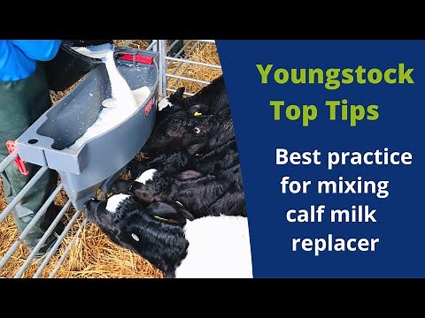 How to mix Calf Milk Replacer (CMR) | ForFarmers