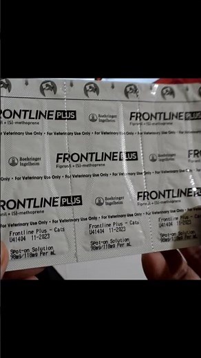 How to Apply Frontline Plus to Cats #shortsfeed #cats #pets