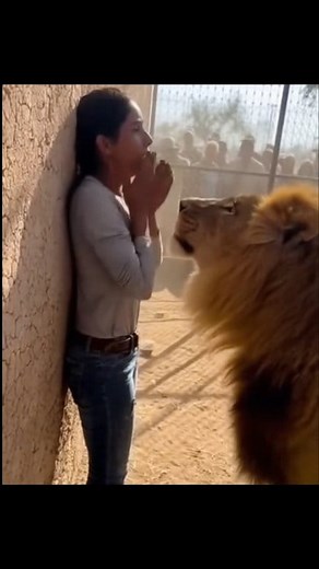 Emotional Moment Caught on Camera — Lion Leaves, Woman Collapses | Arupvines