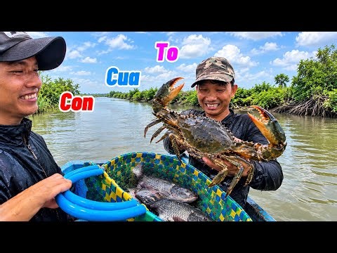 Heading Out to the Flooded Fields, Catching Crabs Every Time We Cast the Net || Anh Em Auto