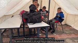 224 reactions · 45 shares | A few of the residents of a makeshift refugee camp at a school in Rafah told us about the inhumane conditions they are facing: | B'Tselem בצלם | Facebook