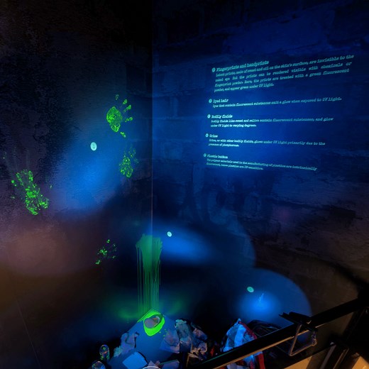 Ultraviolet (UV) light is used by Crime Scene Specialists to detect evidence that cannot be seen by the naked eye. Fingerprints for example, are formed by sweat and oil depositions from the surface of the skin. These can be made visible through the use of special fingerprint powders that appear green under UV light. Discover forensics at work in the “Frontier Town to Safest City” virtual exhibition: https://www.police.gov.sg/.../SPF200-Virtual-Exhibition #SingaporePoliceHeritage #PoliceVirtualTo