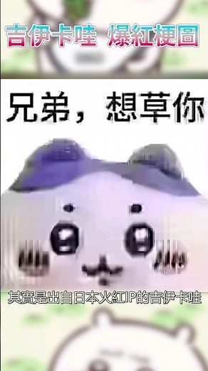 吉伊卡哇 爆紅梗圖 兄弟想....#動漫#新番#吉伊卡哇#梗圖