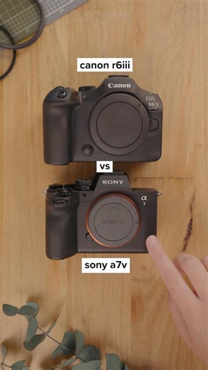 Julia Trotti | Canon R6III vs Sony A7V - which one is better? I just uploaded my comparison between both cameras with lots of side by side photo examples,... | Instagram