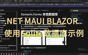 .NET MAUI BLAZOR使用Sqlite数据库示例