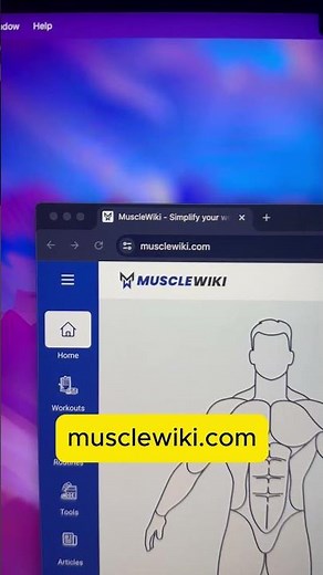 Aprende ejercicios para cada músculo con MuscleWiki | Sitios web potentes (parte 16)