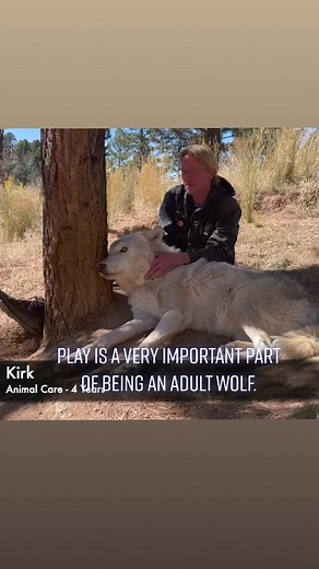#wolfawarenessweek