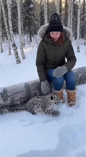 This Snow Leopard Cub Just Wanted a Hug! 🥺❄️