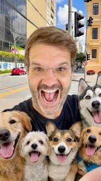 R$50 for each dog breed you mention.