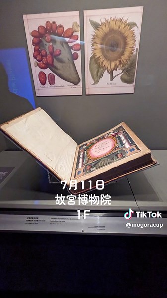 台北 故宮博物院の入場料と音声ガイドの利用法