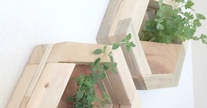 DIY Hexagon Planters