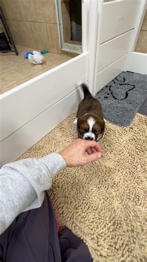 ￼ Late night activities with PPJ❤️ | Pitter Pat Junction