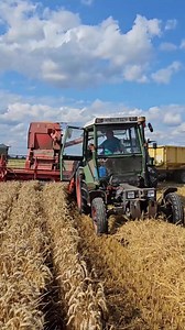 Fendt GT double & Fahr vintage harvester 66 #agriculture #fendt #harvesting #tractor #landwirtschaft #VARIO #claas #farming #farmequipment | Le Agritex