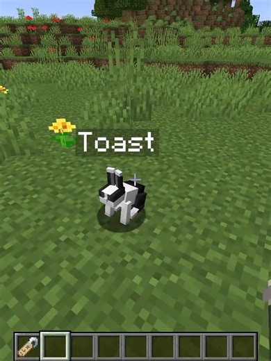 Minecraft's History of Easter Eggs (2)