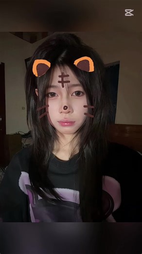 How to Add a Tiger Face Filter to Your Photos