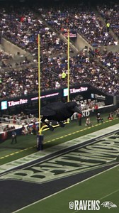 Ya never know what you'll see at the Bank 👀 | Baltimore Ravens