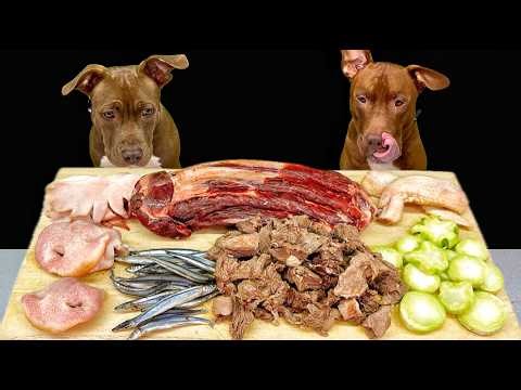 Pitbull Raw Feeding ASMR | Best Dog Eating Sounds