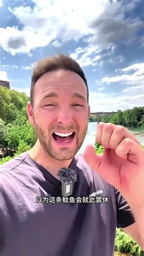 Giant Catfish Attacks Bird Shocking River Predation Caught on Camera #shorts