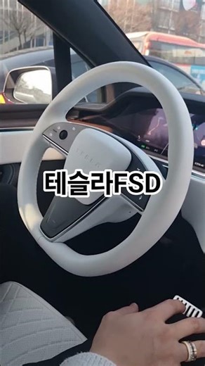 이거 환상인데_테슬라FSD#shorts #테슬라 #FSD #모델X