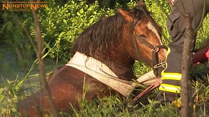 19K views · 496 reactions | 02.06.2021 +UPDATE+ Video zur geglückten...