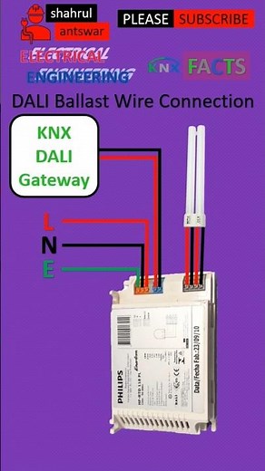 KNX System DALI Ballast Wire Connection | KNX Facts #electrical #knx #homeautomation #dali