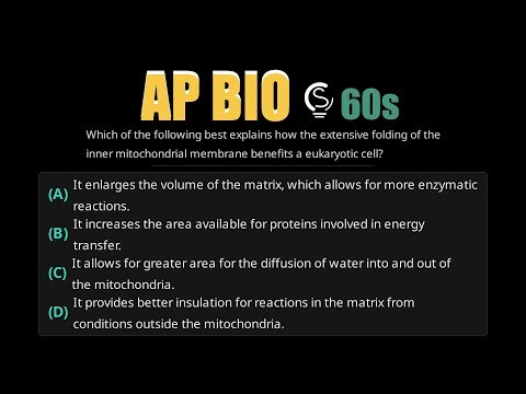 AP Bio 2020 Q48: Mitochondrial Surface Area & Function Explained | Sovi AI