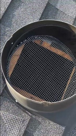 How Do I Keep Squirrels From Getting Into My Attic Vents - Knock Em Dead Pest Control