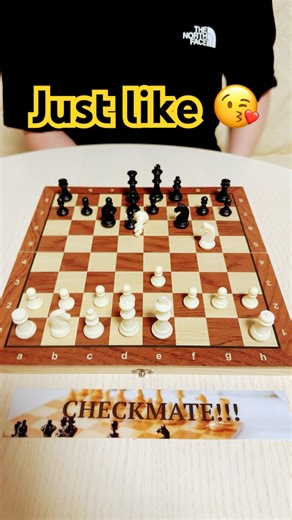 Brilliant Checkmate With One Move #chess #siciliandefense #winningmindset #winningmove #viralshorts