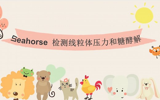 seahorse 检测线粒体压力和糖酵解