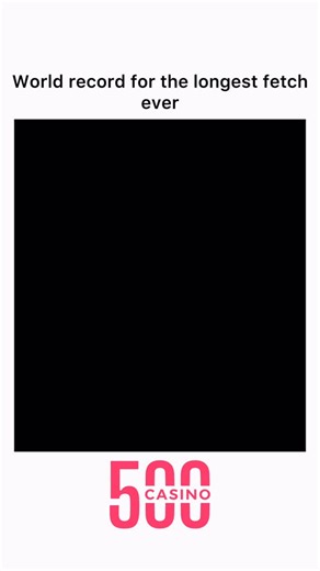 worldreel on Instagram: "The longest fetch ever recorded by a dog on an NFL field was achieved by a border collie named “Rider,” who dashed downfield to catch a frisbee thrown an astonishing 109 yards! This record-breaking feat took place during a halftime show, wowing the crowd with Rider’s remarkable speed, agility, and pinpoint focus—setting new standards for both distance and precision in canine athleticism."