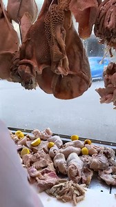 21K views · 458 reactions | Trippa & Centopelle  . #trippa #centopelle #napoli #streetfood | Gasparino | Facebook